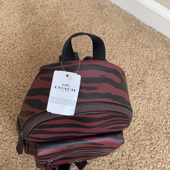 Coach - Picture 6 of 15